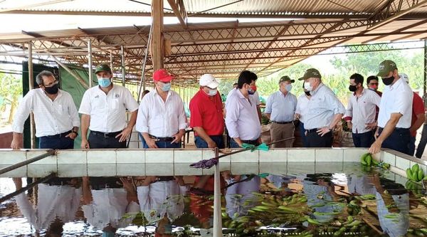 Modelo asociativo de productores chilenos genera interés en mercado nacional