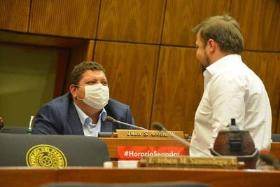 Diputados rechazan proyecto de ley de insolvencia