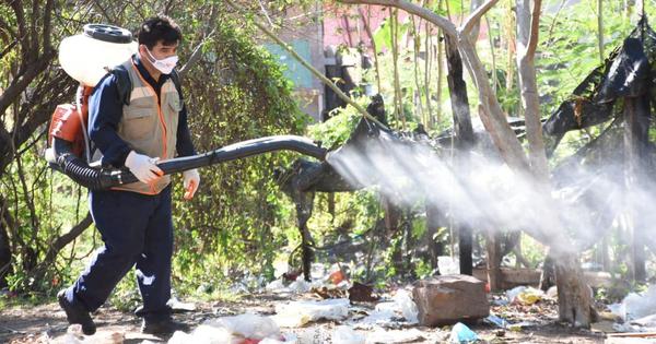 Salud reporta aumento de notificaciones de casos sospechosos de dengue