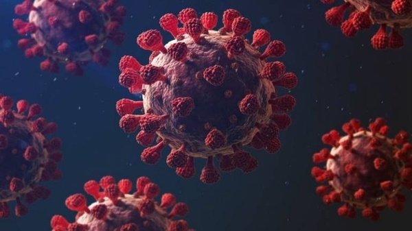 HOY / Coronavirus: 5 características que hacen tan mortal a la covid-19