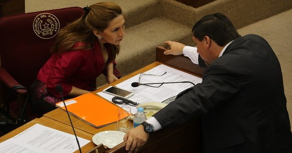 La Nación / Zulma Gómez se aleja de la bancada llanista
