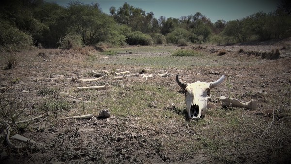 MADES realiza verificación técnica en el Chaco en el marco del cambio climático
