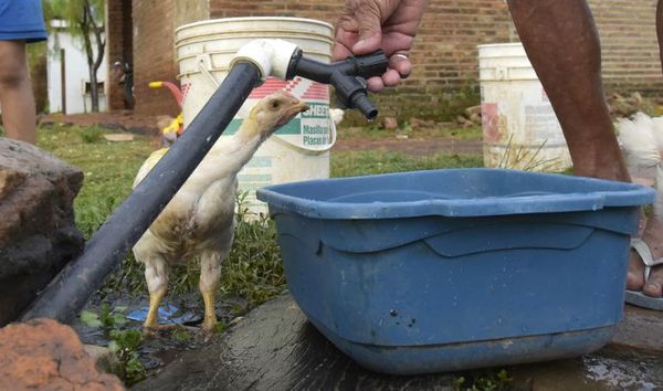 Lodo y algas provocaron cortes en el servicio de agua de Essap en Asunción - Nacionales - ABC Color