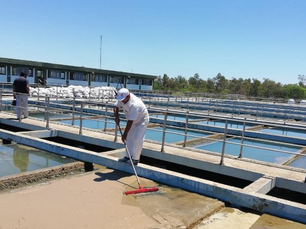 Algas y lodo causan cortes de agua en Asunción y Gran Asunción