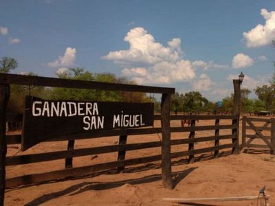 Invasión a tierras indígenas destruyó 3.307 hectáreas