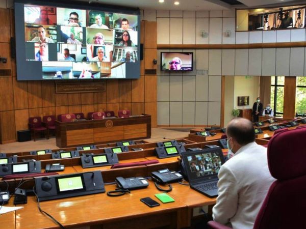 Sin cuórum ni votos en el Senado para expulsión de ZI y Friedmann