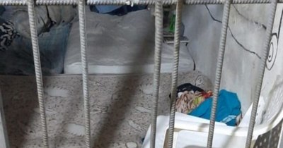 La Nación / Detenidos se fugan de una comisaría