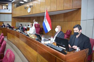 Ley de Insolvencia: Senadores cambian de postura y hoy rechazarían el proyecto - ADN Paraguayo