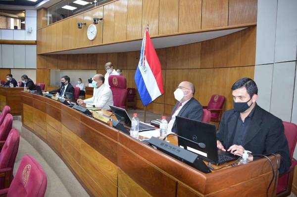 Ley de Insolvencia: Senadores cambian de postura y hoy rechazarían el proyecto - ADN Paraguayo