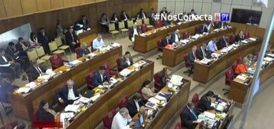 Senado manda al archivo Ley de Insolvencia | Noticias Paraguay