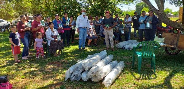 Productores de Raúl A. Oviedo reciben insumos agrícolas - Noticiero Paraguay