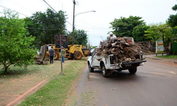 Municipalidad de CDE apoya a la ANDE con recolección de ramas
