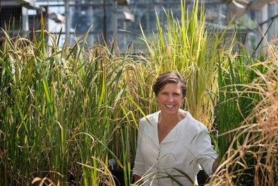 Genetista Pamela Ronald se convierte en la primera mujer en obtener el Premio Mundial de Agricultura