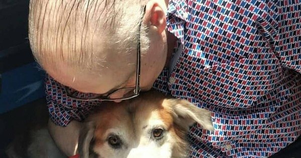 La Nación / Shelby: tras semanas de recuperación, el perro fue adoptado y ahora se llama Constantino