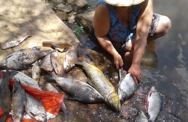Fiscal imputa a gerente de Petropar por supuesto perjuicio ambiental - Nacionales - ABC Color