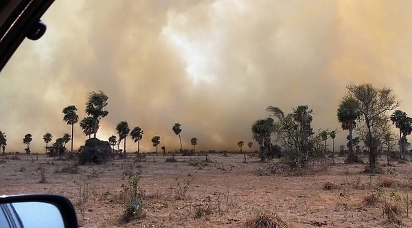 PNUD informó sobre acciones en favor del ambiente, recursos naturales y sectores de pobreza - La Mira Digital