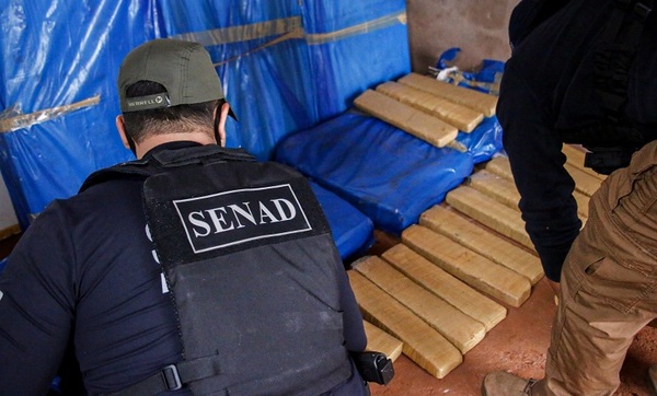 Incautan cargamento de marihuana en una vivienda de PJC