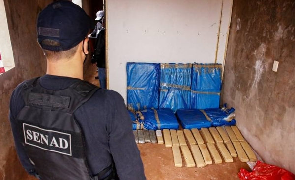 HOY / PJC: Senad incautó más de 140 kilos de marihuana prensada en una vivienda