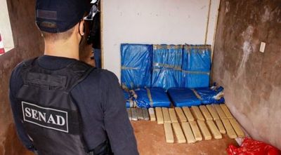 Senad incautó más de 140 kilos de marihuana en una vivienda de la fracción Terraza II