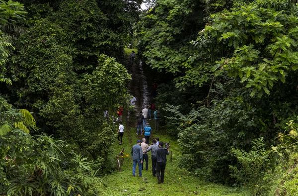 Costa Rica ofrece a turistas compensar huella de carbono con aporte a economía verde - Viajes - ABC Color
