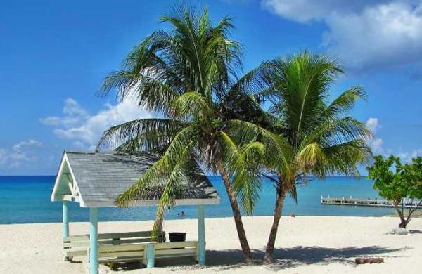 La isla paradisíaca que ofrece trabajar de forma remota, pero con una costosa condición - SNT