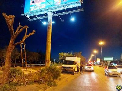 Mutilan 50 árboles para "mostrar" carteles en plena avenida luqueña •