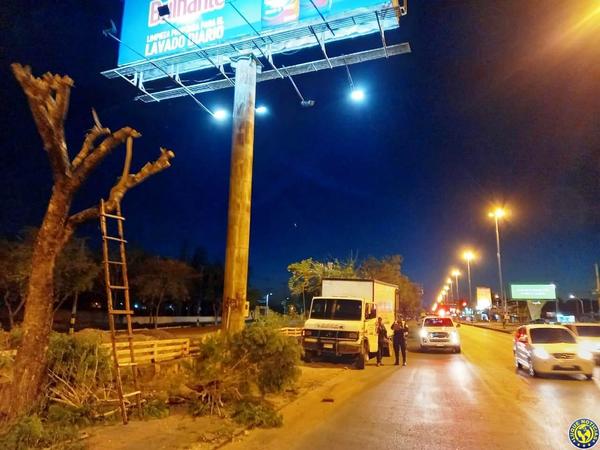Mutilan 50 árboles para "mostrar" carteles en plena avenida luqueña •