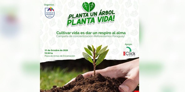 REGALARAN PLANTINES DE ÁRBOLES EN LA PLAZA DE ARMAS DE ENCARNACIÓN.