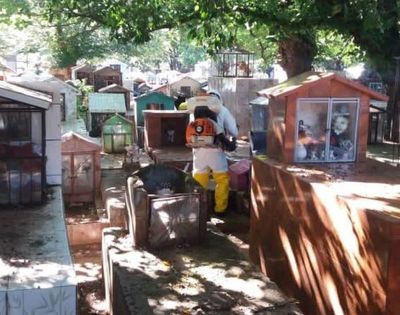 No se podrá permanecer más de 15 minutos en el cementerio municipal  - ABC en el Este - ABC Color
