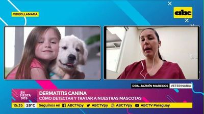 Cómo detectar la dermatitis en nuestros perros - Ensiestados - ABC Color