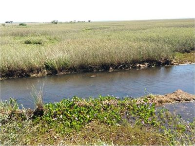 Concejal denuncia desvío de aguas del arroyo Yabebyry