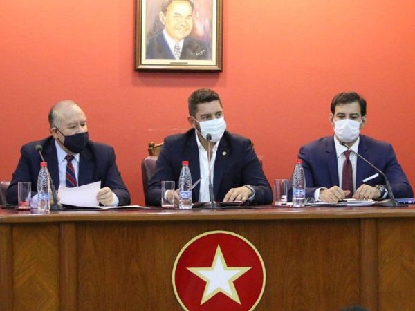 Colorados piden convocar a las elecciones partidarias