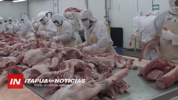 APUNTAN A LA EXPORTACIÓN DE CARNE DE CERDO A CHINA