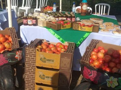 Expo Tomate realizó segunda edición de forma virtual en Misiones
