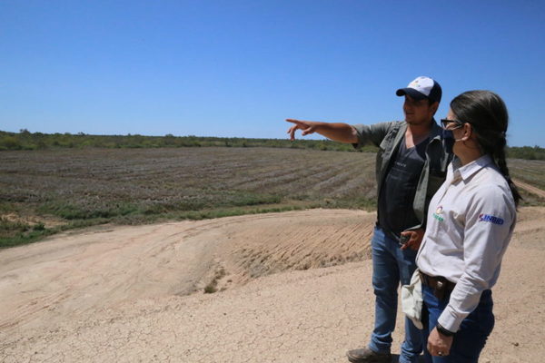 La soja tiene buenas perspectivas para la próxima zafra en el Chaco Central