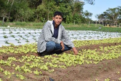 Horticultores de Areguá claman por más mercado para la venta de sus productos - Nacionales - ABC Color