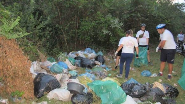 Para completar: Serotipo más grave del dengue ya está circulando