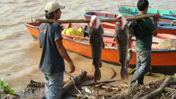 Arranca la veda pesquera en el país pero sin lista de beneficiados con subsidio