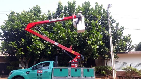 Ande prosigue tareas de mantenimiento eléctrico en Alto Paraná - Noticde.com