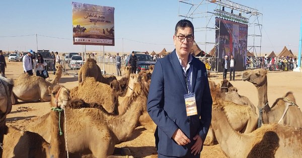 La Nación / Presentarán libro sobre el Sahara marroquí