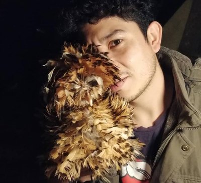 Crónica / Gallinitas picha’î y peluche llevan como mascotas