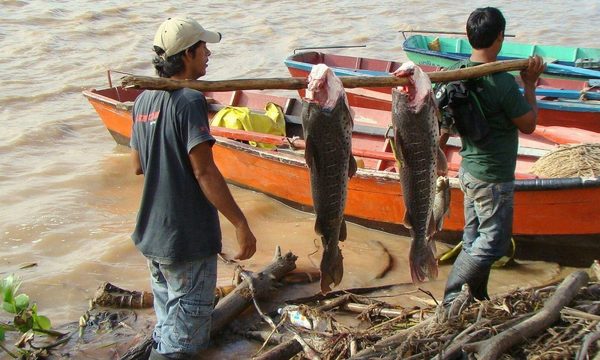 A un día de la veda pesquera, comedores de Remanso aprovechan buena venta