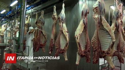 AUMENTA PRODUCCIÓN DE CARNE EN ITAPÚA Y APUNTAN A FRIGORÍFICO PARA EXPORTACIÓN