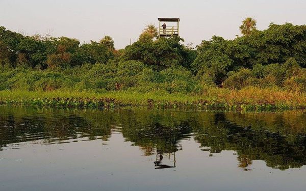 El doble desafío de cuidar la biodiversidad y las áreas protegidas del Paraguay