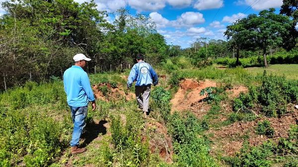 Productores exigen reparación de un camino vecinal en Yataity del Norte - Nacionales - ABC Color