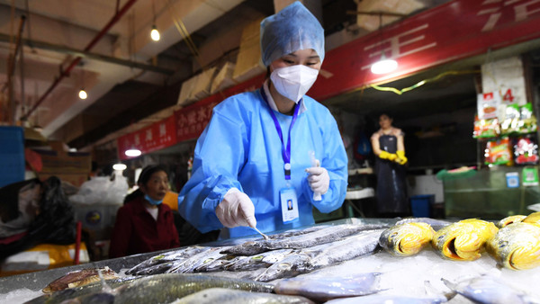 China encuentra rastros de COVID-19 en alimentos importados de Ecuador y Brasil » Ñanduti
