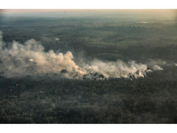 Los incendios en la Amazonia  crecieron un 120% en octubre