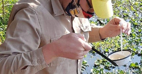 La Nación / Instan a eliminar los criaderos del dengue porque aparecen casos