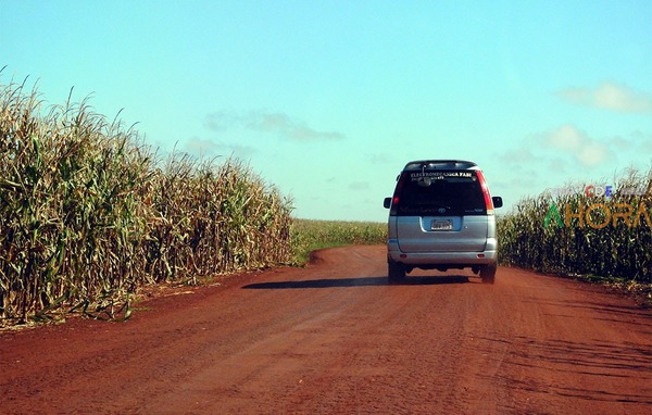 Las RUTAS del CONTRABANDO en medio de SOJA y MAÍZ