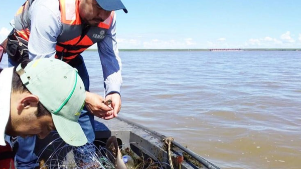 Desde hoy arranca la veda pesquera en todo el país